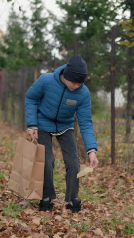 un niño con chaqueta azul y gorra se inclina para recoger hojas amarillas del suelo y las coloca en una bolsa de papel en medio de un follaje de otoño vibrante, junto a una valla rústica y vegetación al aire libre