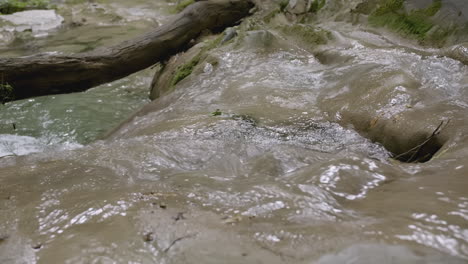 stream flowing over rocks in a forest