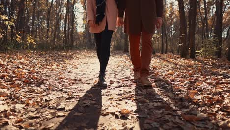 couple walking in autumn forest