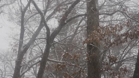 Nieve-Cayendo-Pesada-Y-Espesa-En-Cámara-Lenta