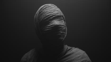 a mummy of a woman on a dark backdrop slowly rises her head