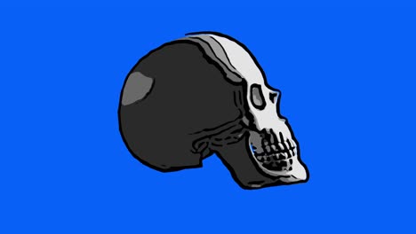 sketch of a skull spinning