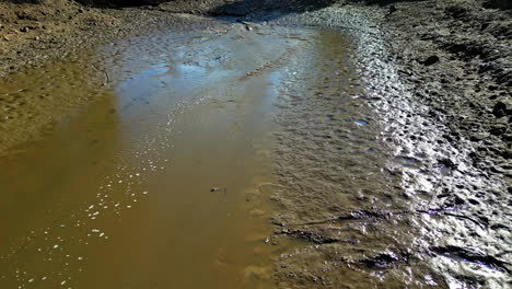 muddy creek bed on a sunny day