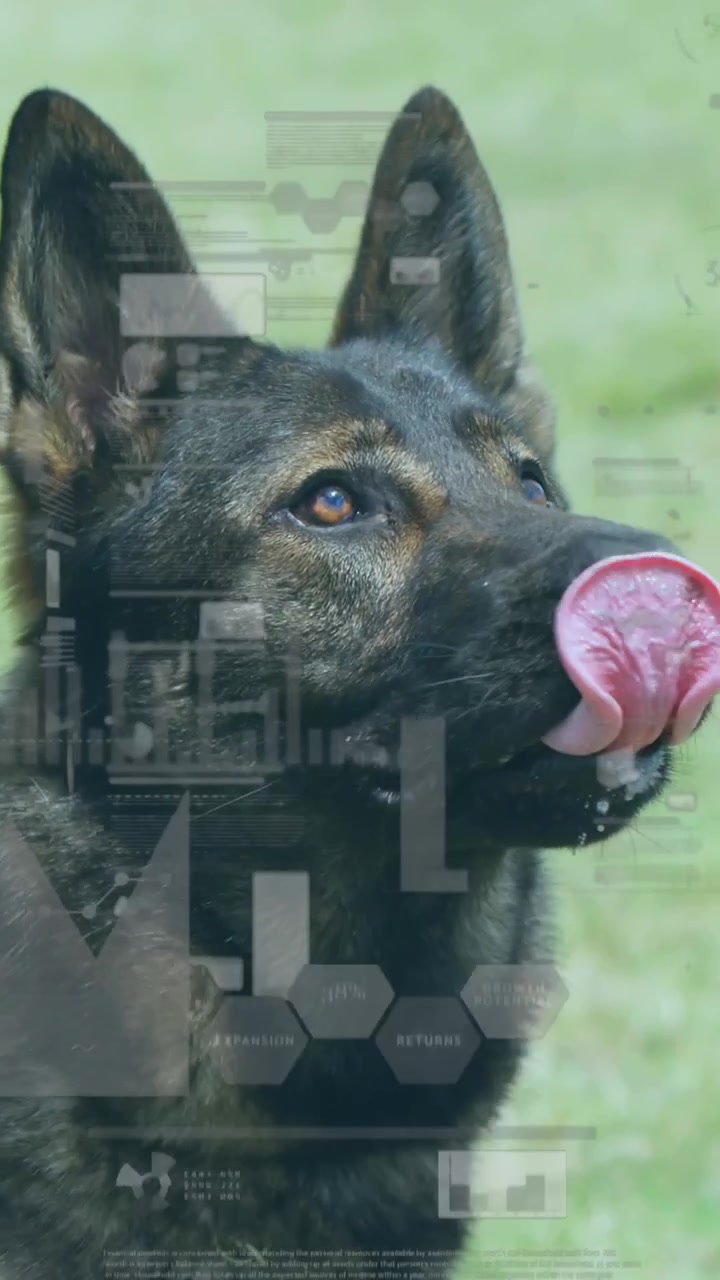 Animación de procesamiento de datos financieros sobre un hombre caucásico con un perro en el césped