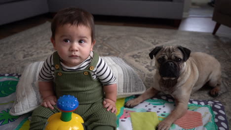 adorable baby with cute pug puppy in living room