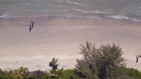 una pareja en la playa tira basura en la jungla.