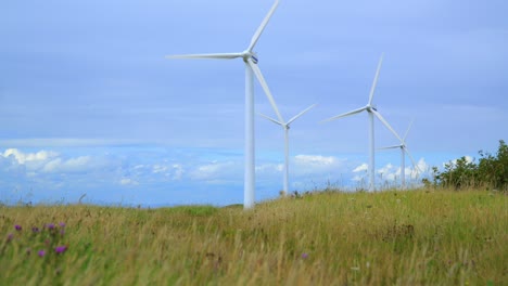 wind turbines turning on windy day with rise up from grass level revealing cloudy coastline