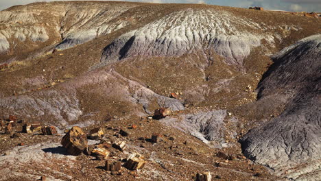 panning shot of landscape at petrified forest national park