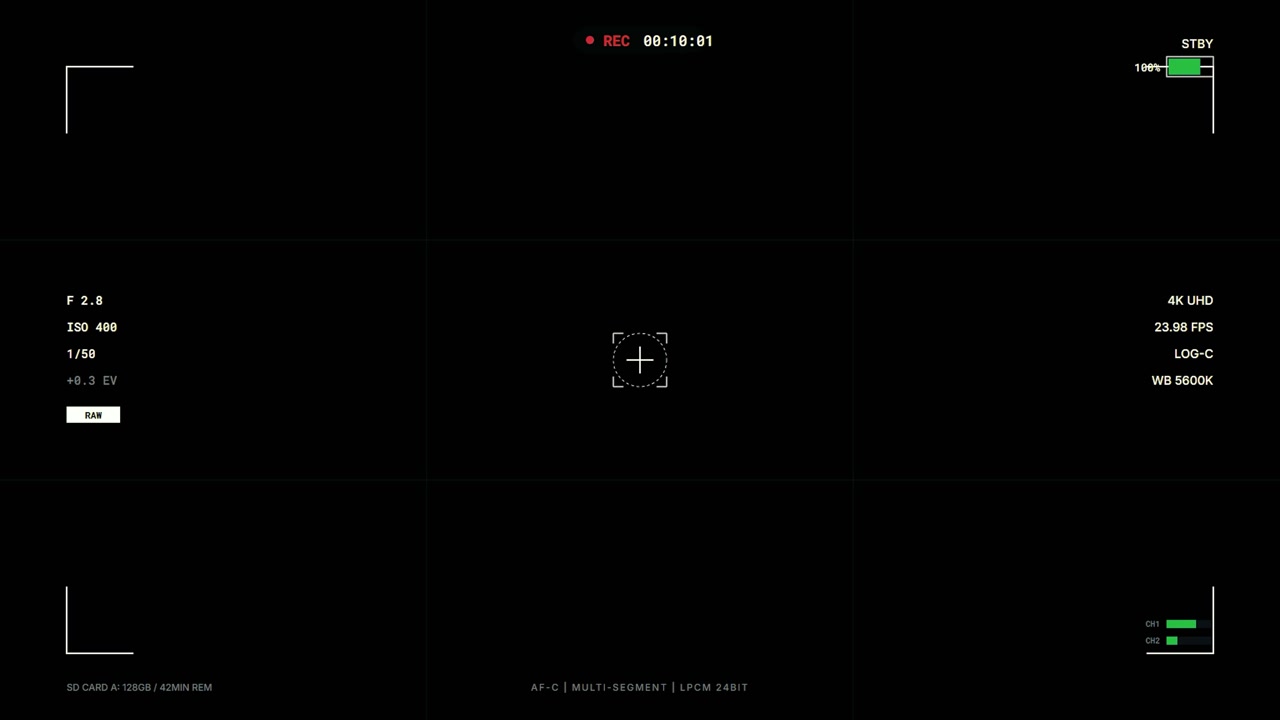Digital Camera Viewfinder Overlay with Recording Interface