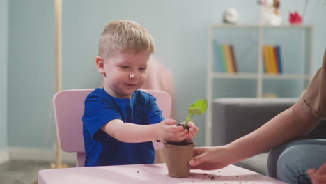 happy boy inserts seedling into paper pot with mother help