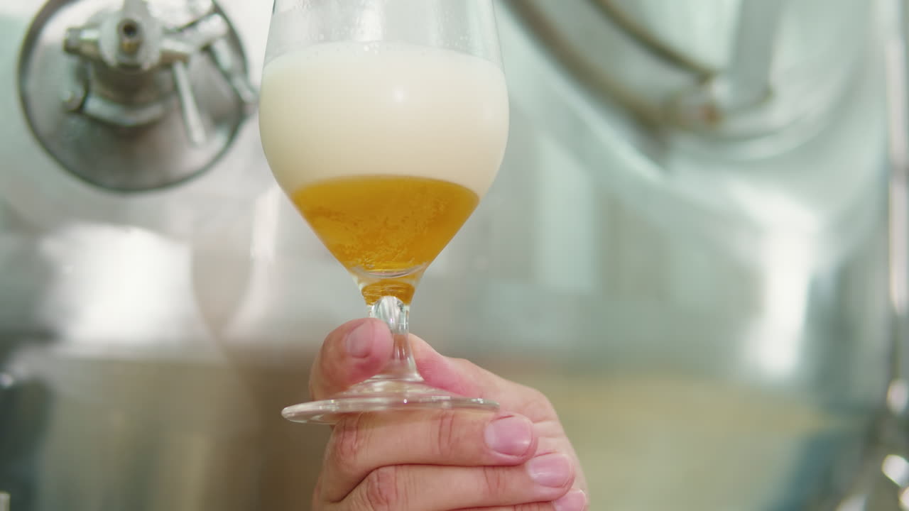 Craft beer production factory, brewery manufacture. Man trying beer in glass close-up. Brewer portrait, cooking alcohol in metal vats bottles