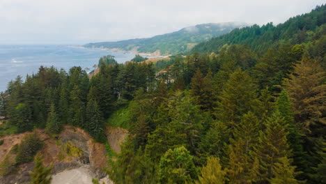 scenic pacific northwest coastline with lush forests and rugged shores