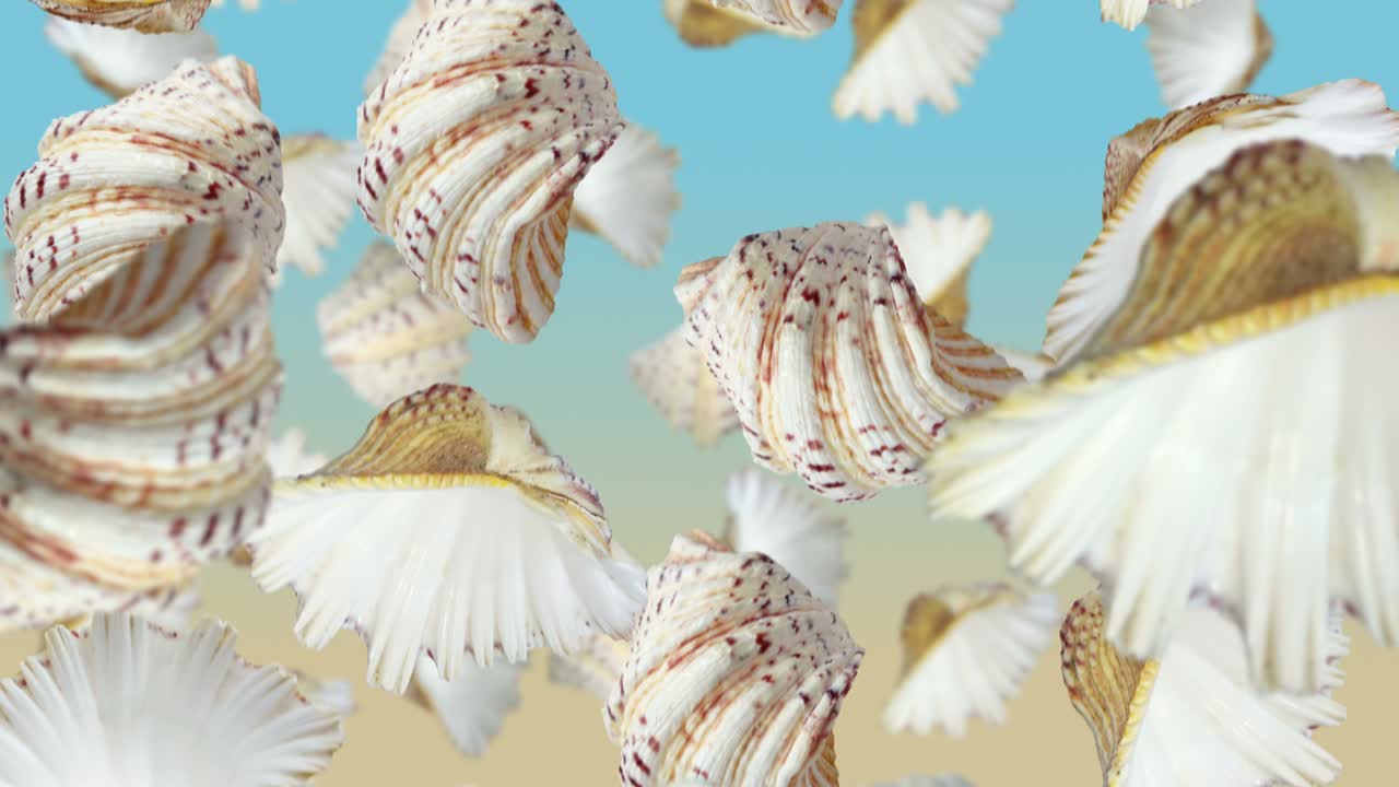 las conchas de mar cayendo, en cámara lenta.