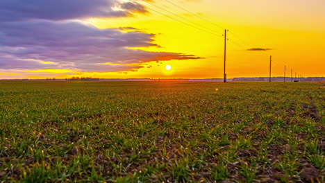 lapso de tiempo de la puesta del sol sobre los cultivos en crecimiento en una granja rural