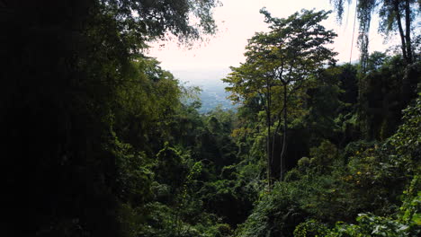 Drone-shot-through-dense-green-forest-along-the-hills-in-Binh-Phuoc-Province,-Vietnam-at-daytime