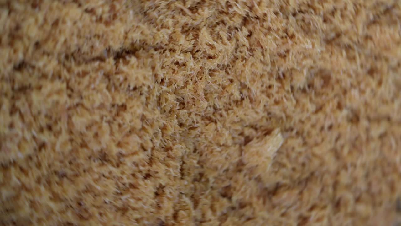 Close-up of Dried Shredded Pork (Meat Floss)