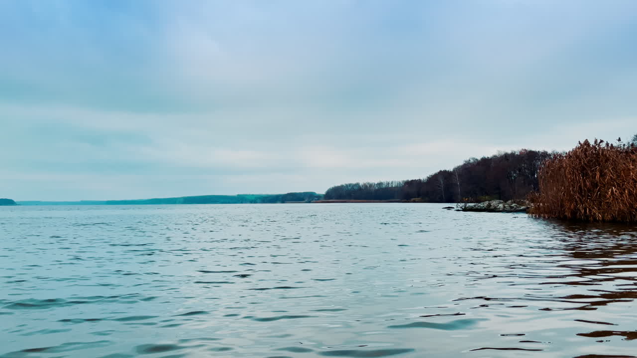 평온한 호수변 풍경