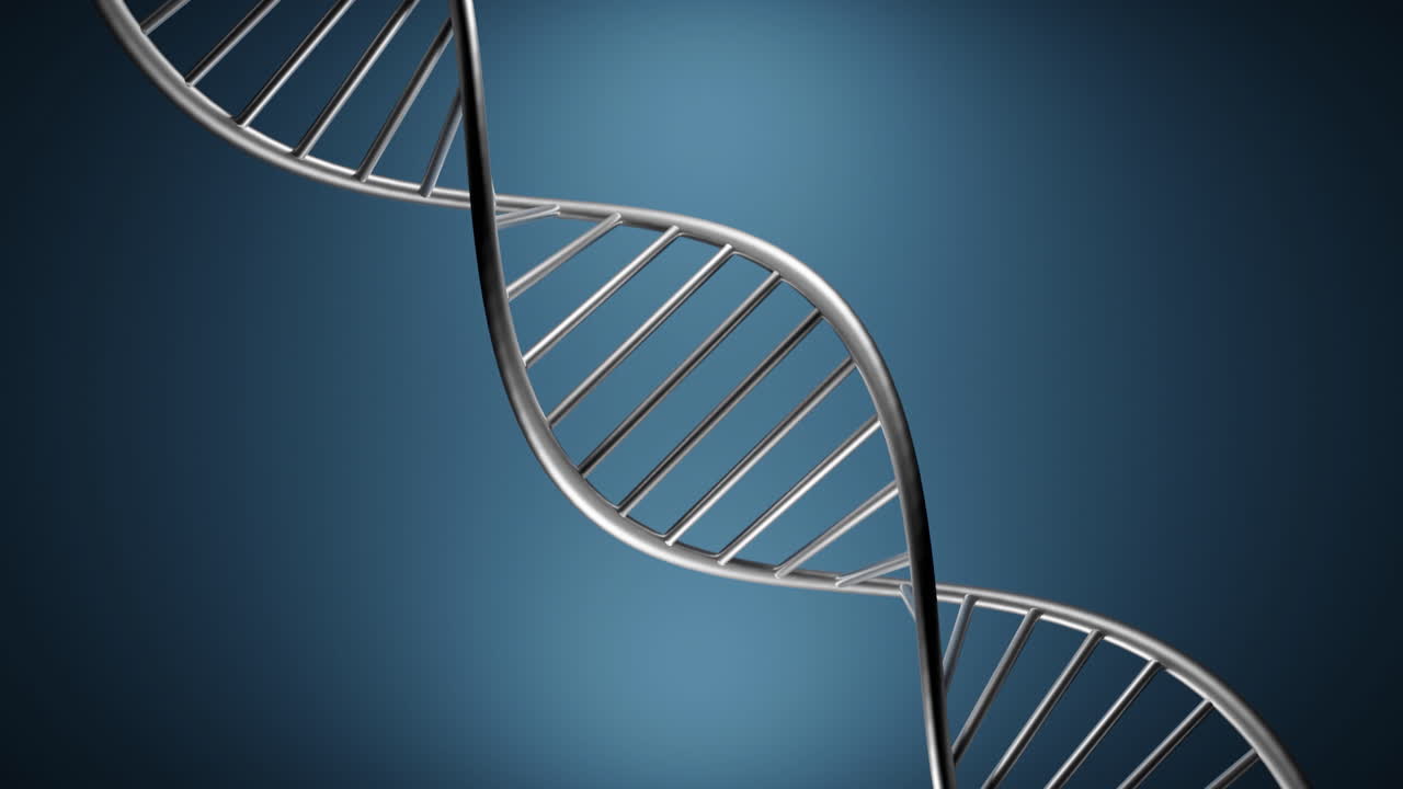 modelo 3d de doble hélice de adn