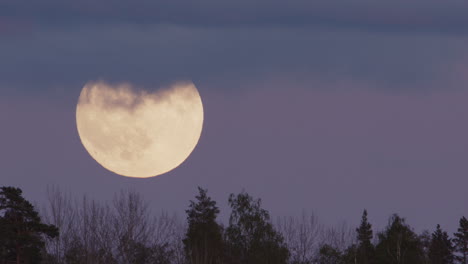 full moon, zoom out - the moon rising into a blanket of cloud above