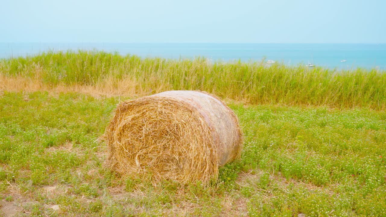 Yellow haystack in front of the ocean