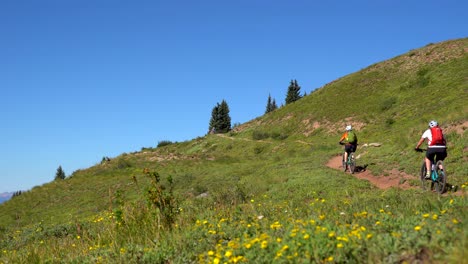 mountain bikers riding the colorado trail in the san juan mountains