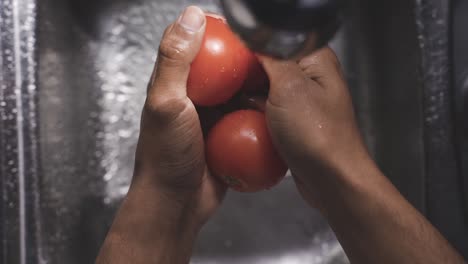 crop man washing ripe tomatoes in sink