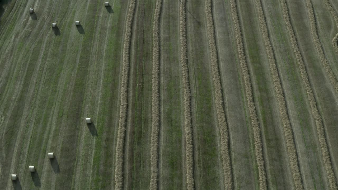 aéreo rápido a través del campo de heno, la mitad en hileras, la mitad en pacas redondas