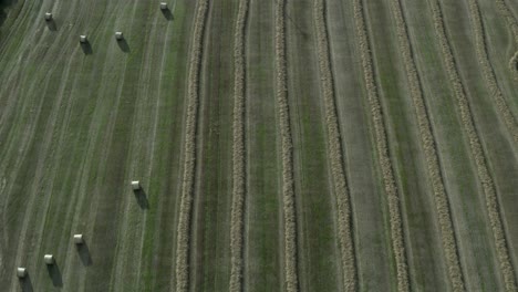 Aéreo-Rápido-A-Través-Del-Campo-De-Heno,-La-Mitad-En-Hileras,-La-Mitad-En-Pacas-Redondas