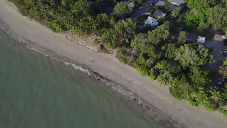 Long-Sandy-Beach-Lined-With-Palm-Trees-At-Four-Mile-Beach-In-Port-Douglas,-QLD-Australia