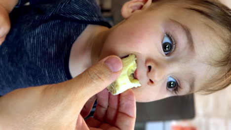 parent's hand is holding the a piece of banana. cute kid comes up and takes a bite. healthy snack for a child. vertical video.