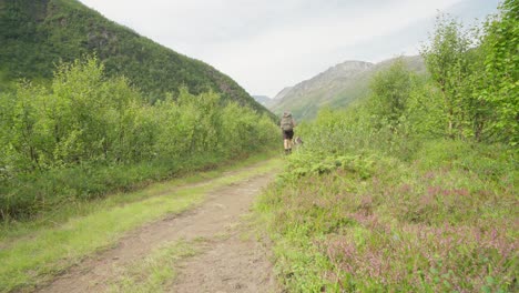 hiking with a dog at the mountains of lyngsdalen norway