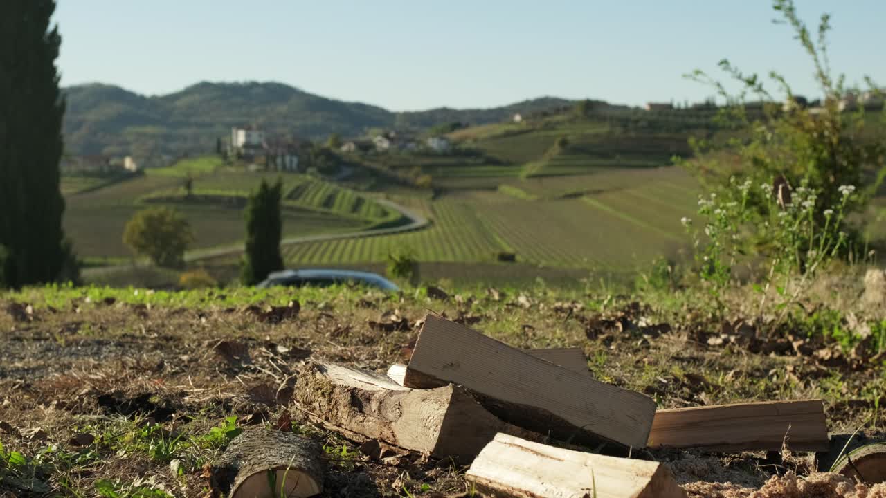 troncos de madera cortados cayendo al suelo haciendo una pila de leña para el invierno
