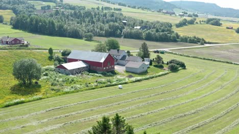 aerial view over agricultural fields and farm houses in the countryside - drone shot