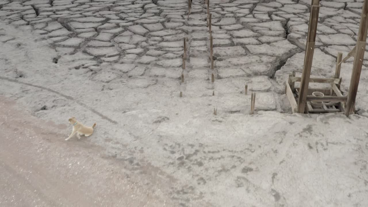 기둥으로 균열 된 땅 표면