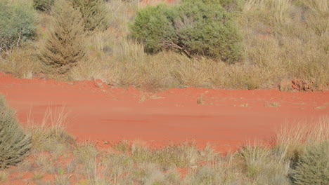 Blauer-Offroad-Buggy-Mit-Vier-Rädern,-Der-Beim-Finke-Desert-Race,-Australien,-über-Rotes-Wüstenrenngelände-Rast,-4K-Drohnenzeitlupe