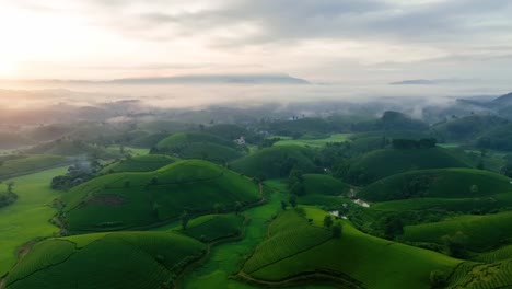 drone capture of fog-covered farmland and terraced hills at dawn, revealing a quiet, dreamy valley with soft light and rural paths cutting through green terrain.