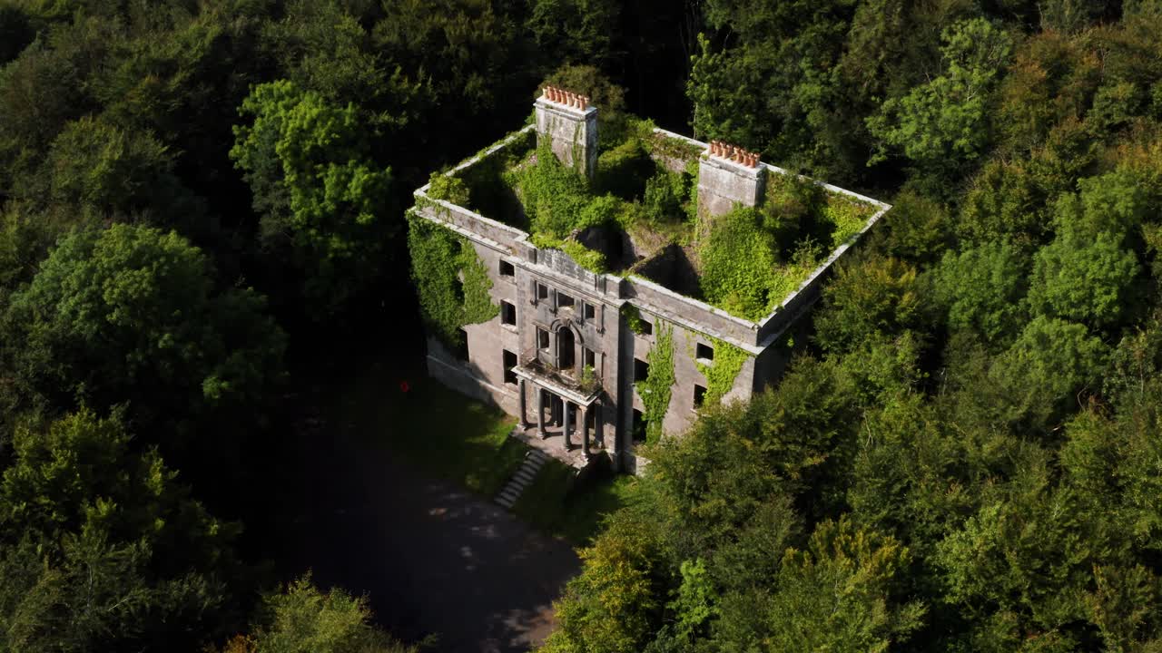 Aerial Orbit of the Ivy-Covered Moore Hall Ruins Hidden in Mayo Forest on a Sunny Day