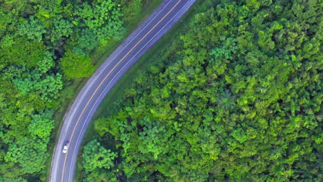 drone over treetops show single car on tarmac road snaking through lush jungle