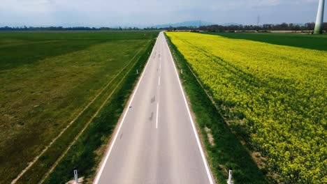 aerial - highway and field of yellow flowers, baden, austria, wide shot forward