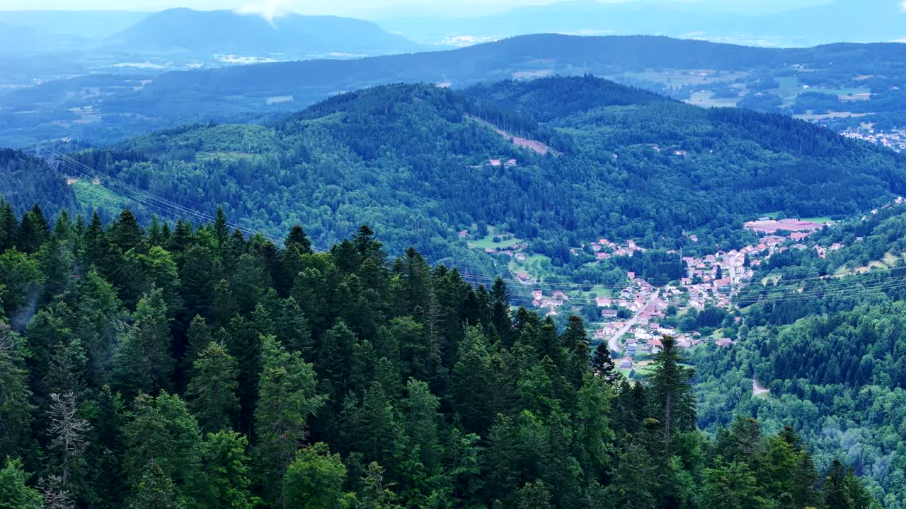 Aerial orbiting view of a dense conifer forest revealing tranquil village in a narrow valley
