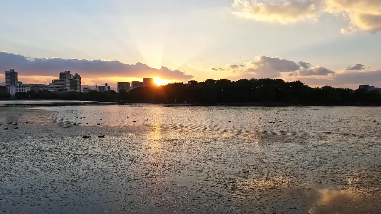 일본 후쿠오카 위 의 아름다운 일몰, 스카이라인 과 평화로운 오호리 공원 호수