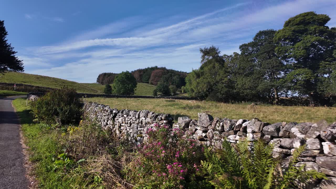 Sunny morning scene in Weardale, County Durham, with a stone wall, fields, and trees along a quiet lane