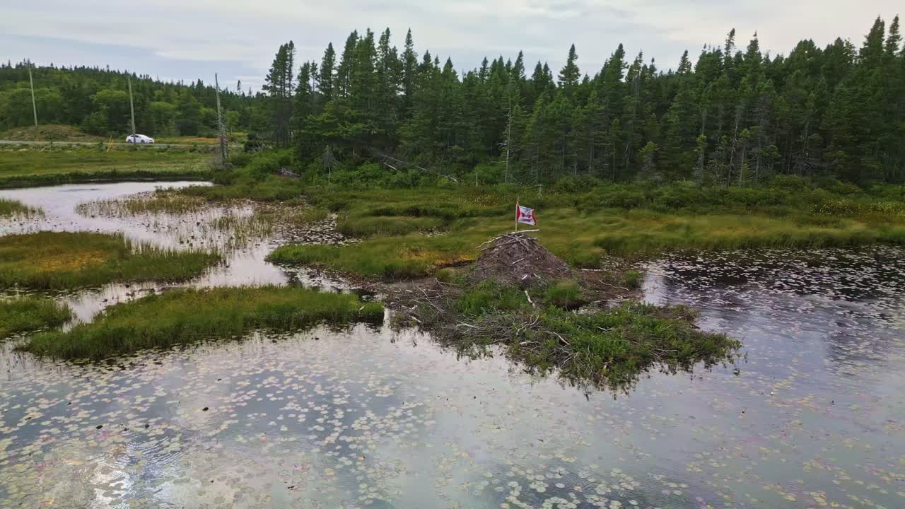 A drone glides over a tranquil freshwater pond near Brigus South capturing reflections of the surrounding forest and hills with lush greenery under a soft sky