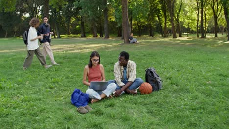 jóvenes adultos trabajando juntos en un parque