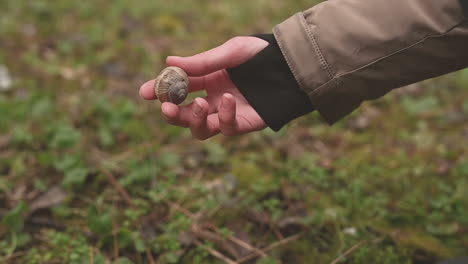 jemand hat mitten im wald eine schnecke gefunden