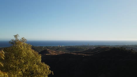 Aerial-view-moving-backwards-between-the-trees