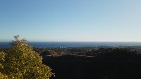 vista aérea moviéndose hacia atrás entre los árboles