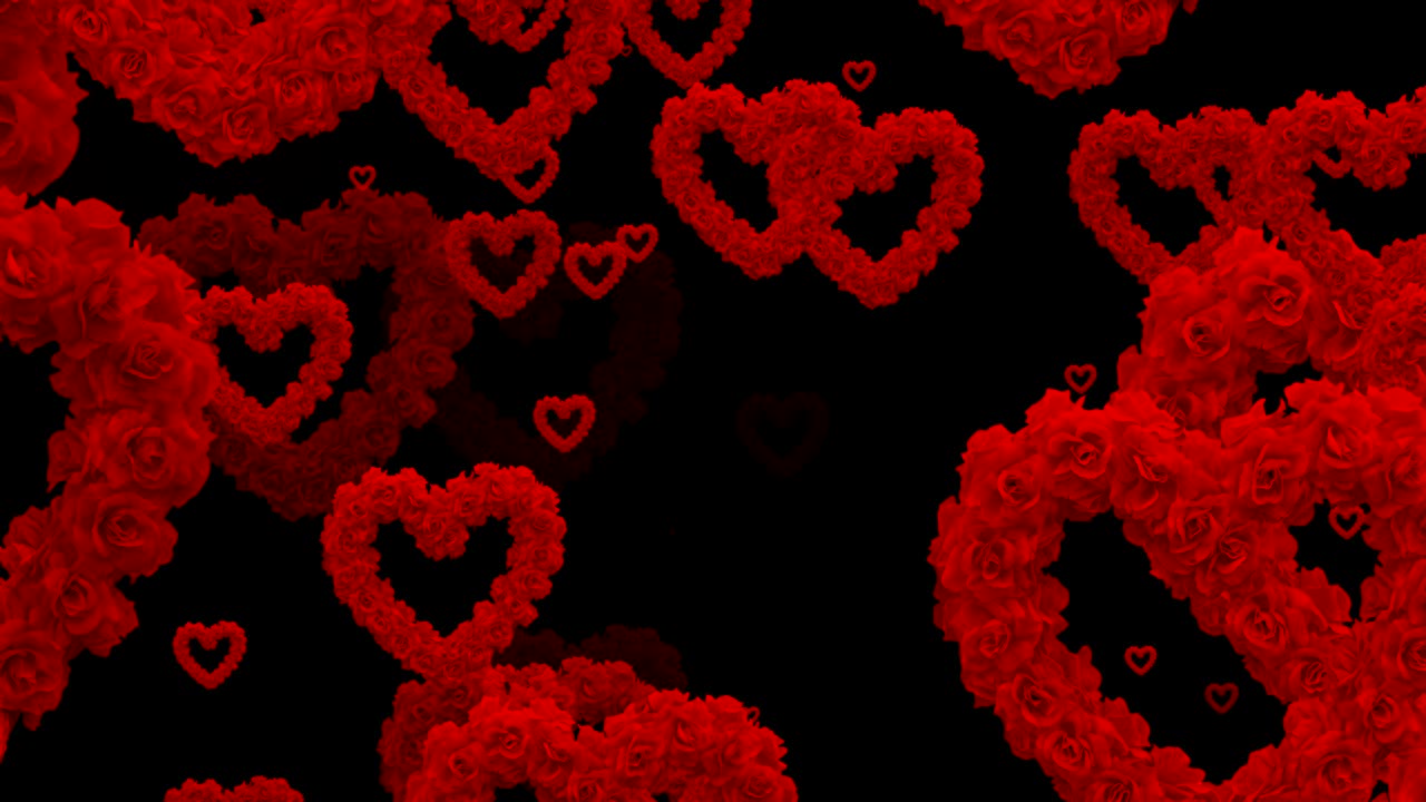 빨간색 다채로운 장미와 심장이 검은색 배경에 날아다니는 애니메이션, 사랑과 발렌타인 데이