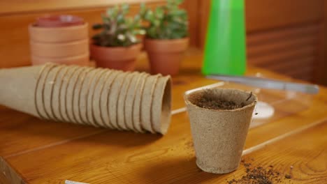 man sprinkles water on a seed planted in a paper pot.