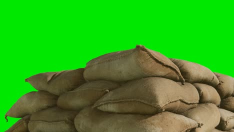 sandbags for flood defense or military use on green chromakey background